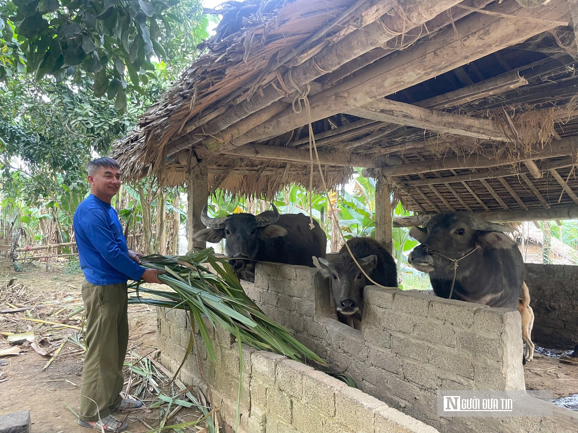 Khi ch&iacute;nh s&aacute;ch đến v&ugrave;ng kh&oacute; (2): "Trao cần c&acirc;u" vẫn chưa đủ- Ảnh 4.