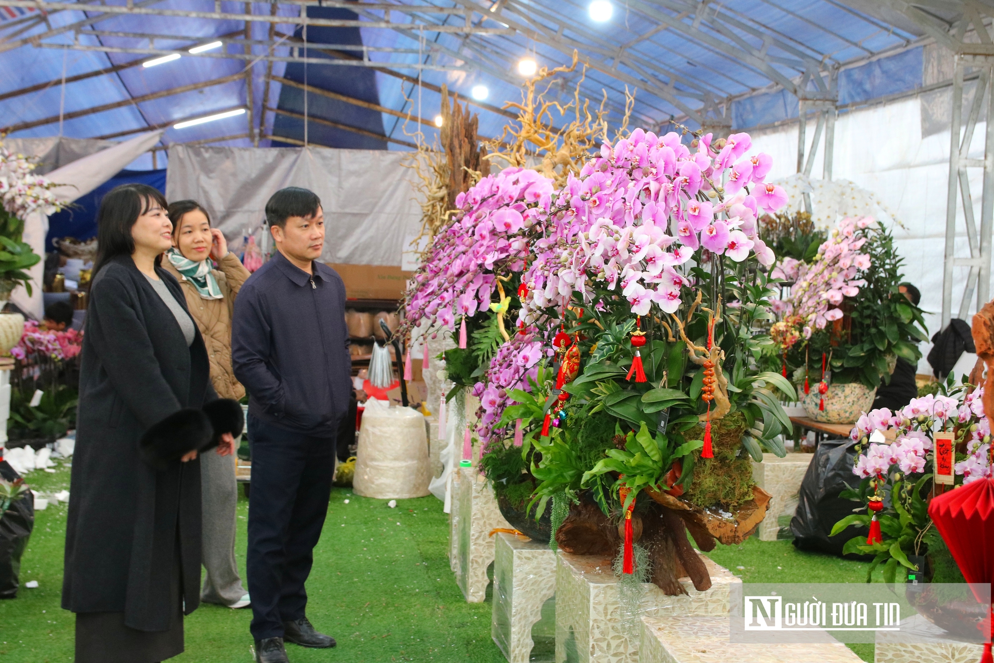 Thợ cắm thu&ecirc; hoa lan "đắt s&ocirc;" dịp Tết, bỏ t&uacute;i 4 -5 triệu đồng/ng&agrave;y- Ảnh 3.