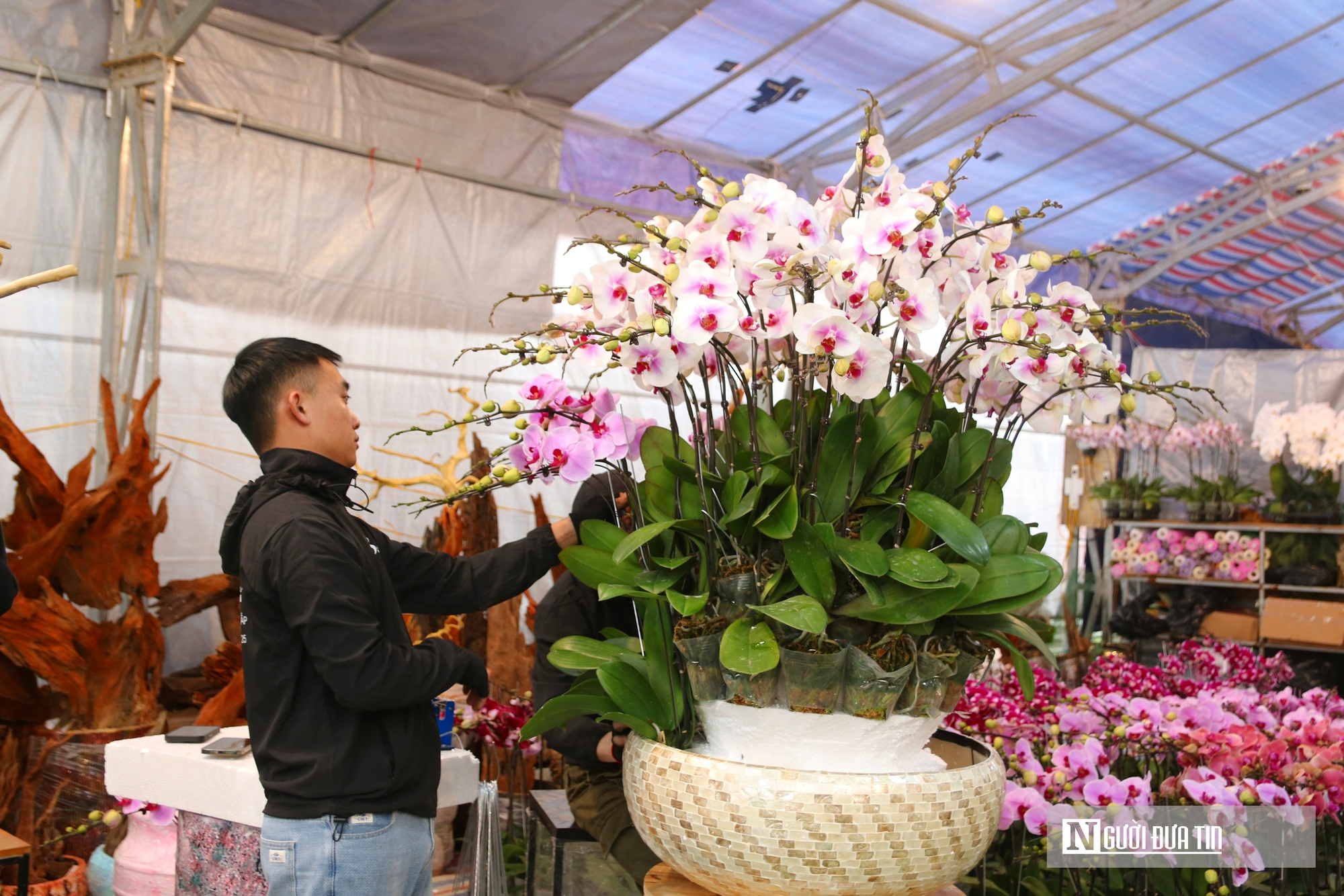 Thợ cắm thu&ecirc; hoa lan "đắt s&ocirc;" dịp Tết, bỏ t&uacute;i 4 -5 triệu đồng/ng&agrave;y- Ảnh 12.
