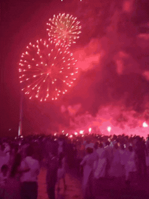 Bó hoa cưới "cực phẩm" của nàng dâu hào môn Phương Nhi - Ảnh 1.