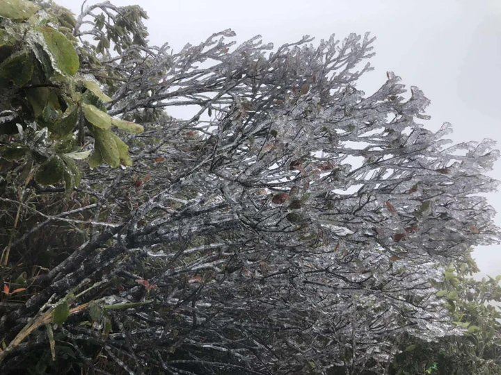 Không khí lạnh suy yếu, miền Bắc tăng nhiệt nhẹ vẫn rét, vùng núi cao đề phòng băng giá - Ảnh 2.