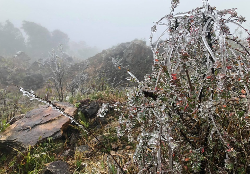 Dự báo thời tiết 26/1: Miền Bắc duy trì rét đậm, cuối tháng 1 thêm đợt không khí lạnh dồn dập tràn về- Ảnh 1.