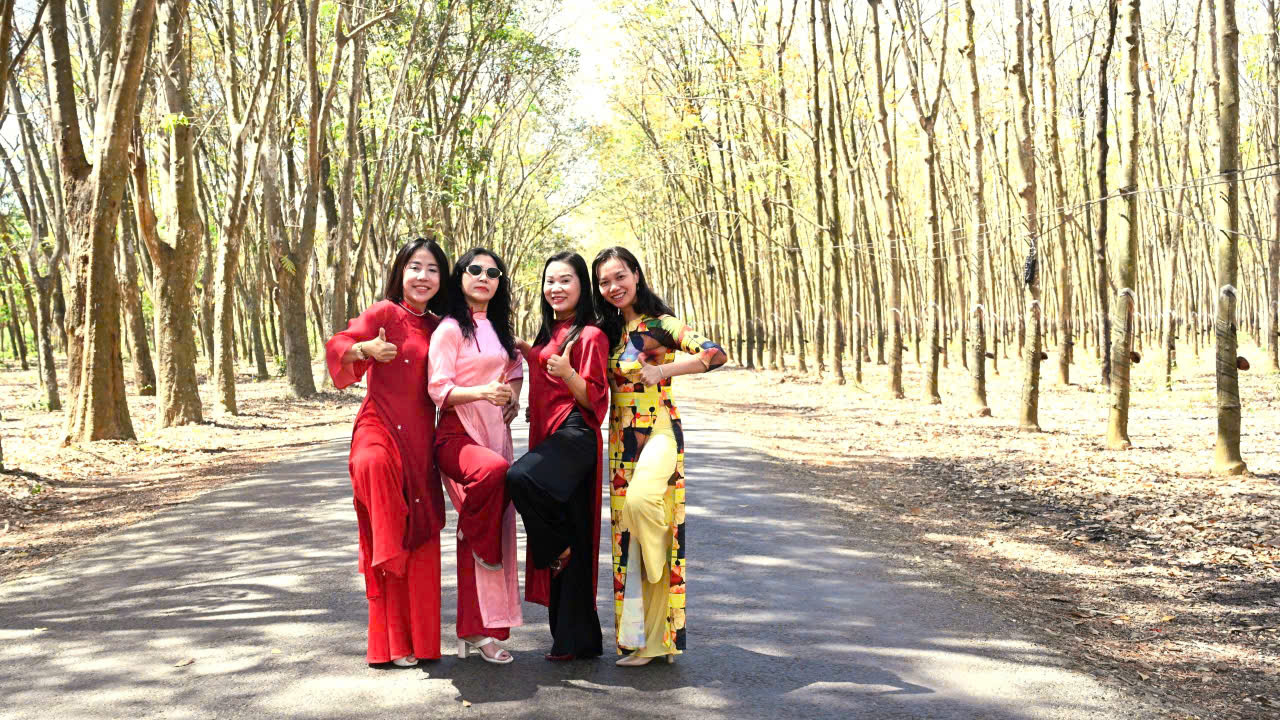 Ngắm bức tranh thiên nhiên đầy chất điện ảnh của rừng cao su mùa thay lá- Ảnh 2.