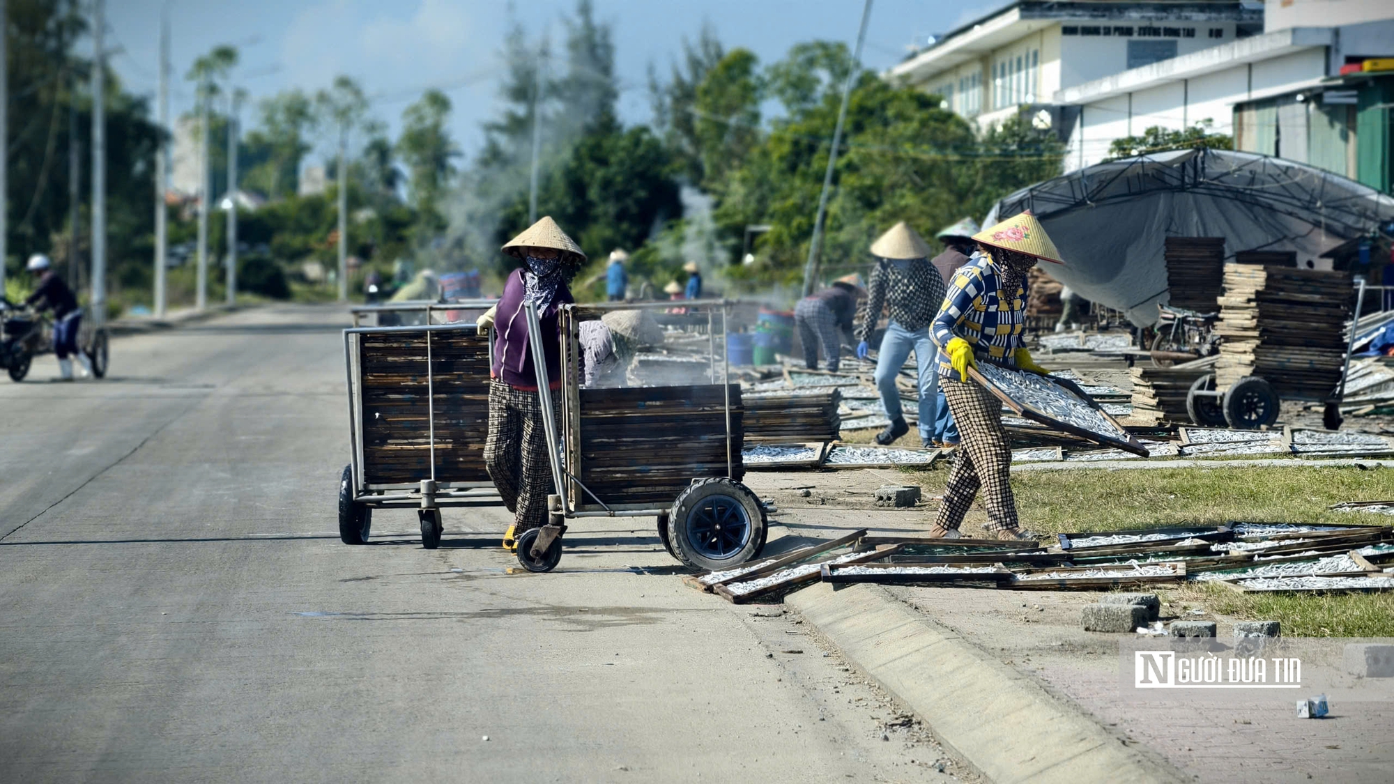 Quảng Ngãi: Nhộn nhịp mùa cá cơm, ngư dân "hái lộc" chục triệu mỗi đêm- Ảnh 15.