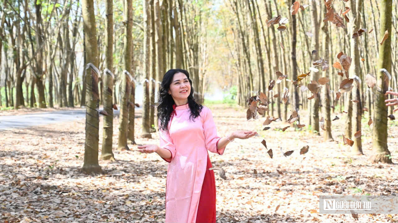 Ngắm bức tranh thiên nhiên đầy chất điện ảnh của rừng cao su mùa thay lá- Ảnh 4.