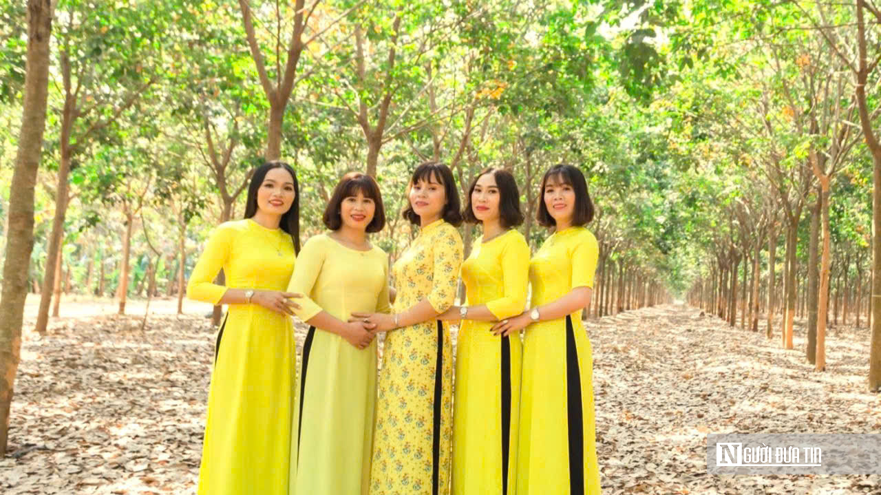 Ngắm bức tranh thiên nhiên đầy chất điện ảnh của rừng cao su mùa thay lá- Ảnh 7.