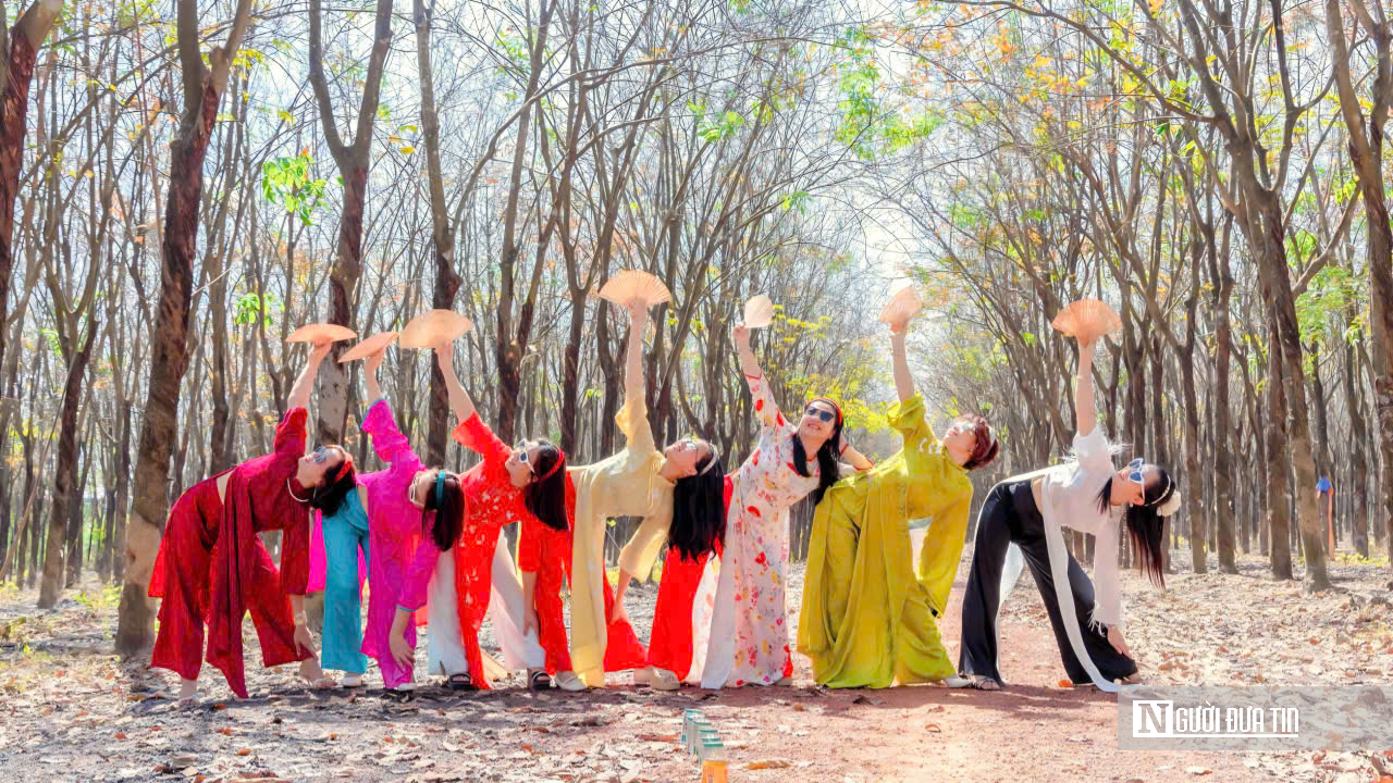 Ngắm bức tranh thiên nhiên đầy chất điện ảnh của rừng cao su mùa thay lá- Ảnh 8.