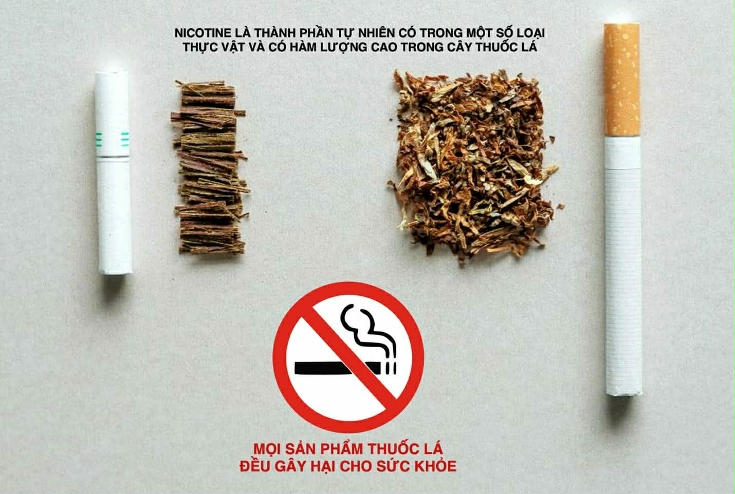 Làm rõ về độc tính của nicotine để phòng chống đúng tác hại của thuốc lá - Ảnh 1.