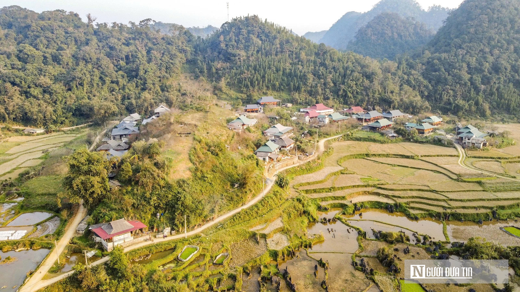 Đ&agrave;o rừng nở rộng tr&ecirc;n n&uacute;i đ&aacute; Cao Sơn, mang về tiền tỷ mỗi năm cho bản v&ugrave;ng cao  - Ảnh 1.