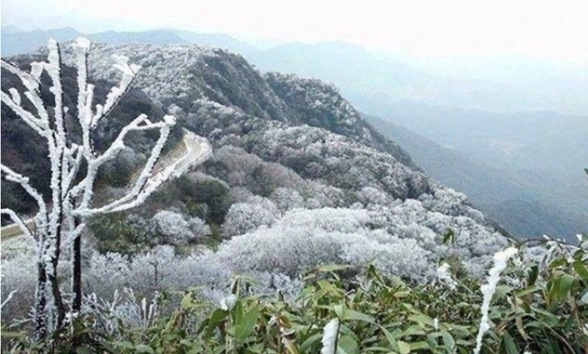 Dự báo thời tiết 28/1: Miền Bắc... tiếp tục rét đậm, mưa phùn, vùng núi cao có khả năng xảy ra băng giá... - Ảnh 1.