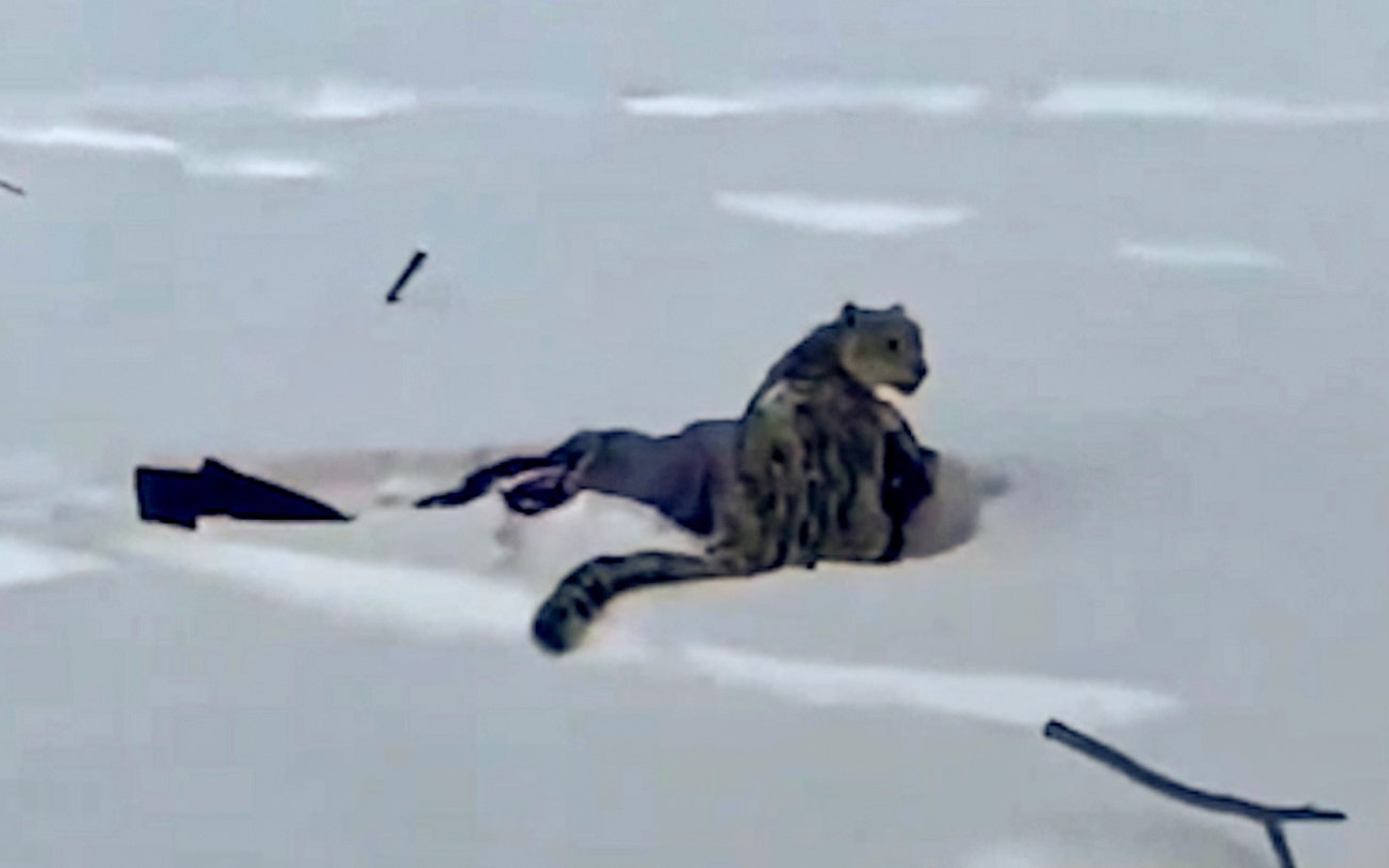 Chơi đ&ugrave;a tr&ecirc;n c&aacute;nh đồng, 3 đứa trẻ tử vong thương t&acirc;m - Ảnh 2.