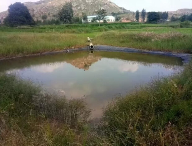 Chơi đ&ugrave;a tr&ecirc;n c&aacute;nh đồng, 3 đứa trẻ tử vong thương t&acirc;m - Ảnh 1.