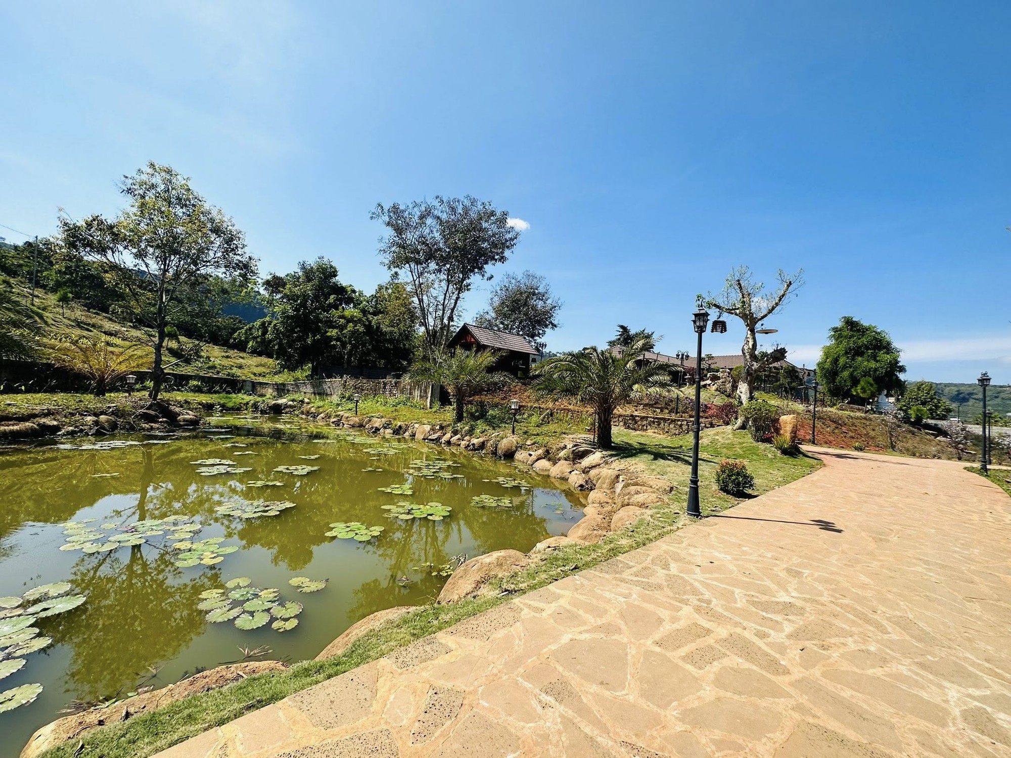 Hé lộ không gian biệt phủ 10.000m2, đẹp như resort ở Lâm Đồng của nam nghệ sĩ đình đám- Ảnh 16.