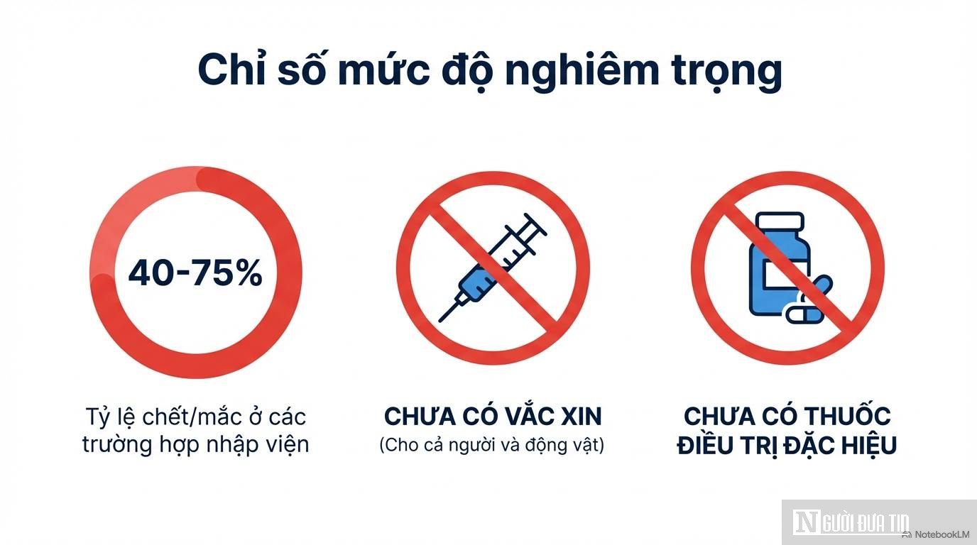 Đà Nẵng siết giám sát y tế trước nguy cơ virus Nipah xâm nhập dịp Tết- Ảnh 2.