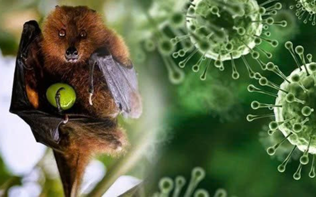 Vụ 3.000 tấn ốc ngâm hóa chất: Ăn ốc bươu ngâm với "thủy tinh lỏng" âm thầm phá cơ thể ra sao? - Ảnh 2.