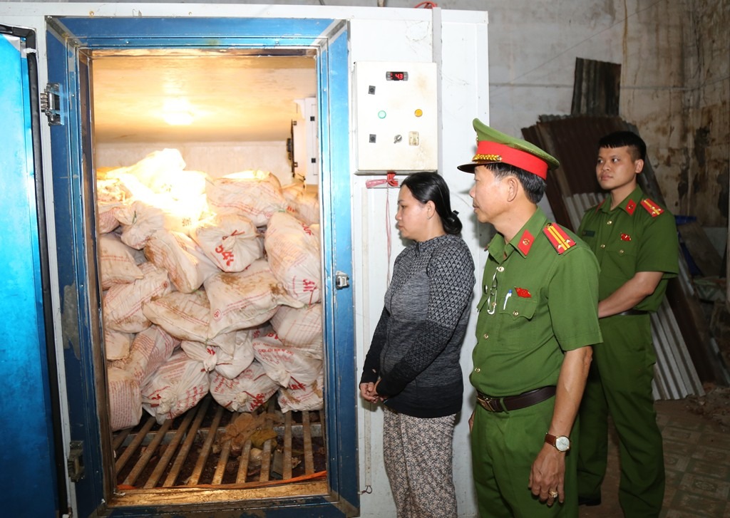 Bắt người phụ nữ mua 12 tấn lợn chết vì dịch bệnh rồi bán ra thị trường - Ảnh 1.