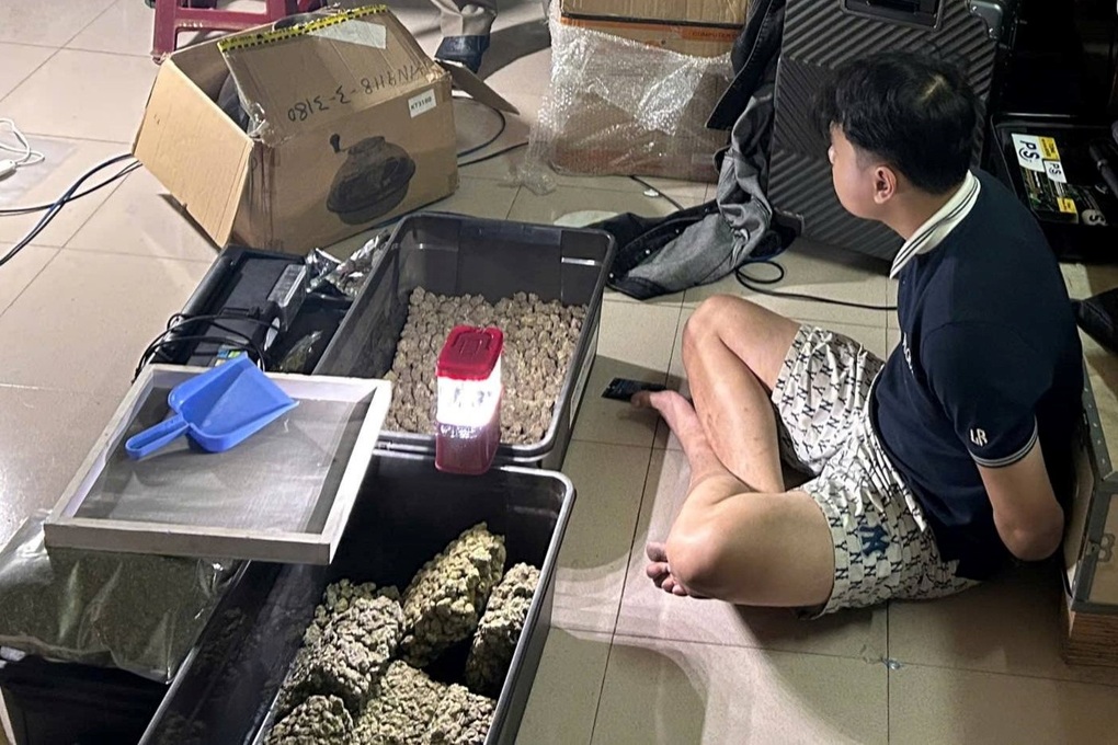 Phát hiện đường dây tiêu thụ cần sa trồng trong nhà, có yếu tố người nước ngoài- Ảnh 3.