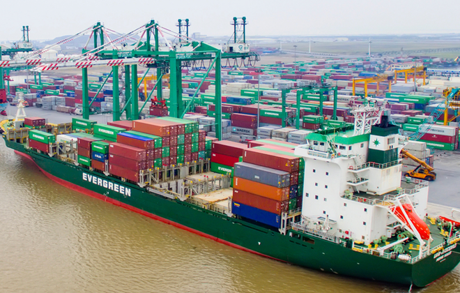 Tăng giá cước, Cảng xanh VIP lãi kỷ lục trong năm 2025- Ảnh 1. Tăng giá cước, Cảng xanh VIP lãi kỷ lục trong năm 2025- Ảnh 1.
