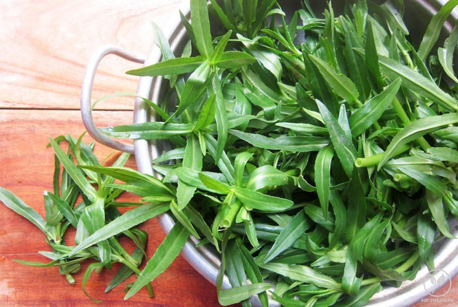 2 loại rau "khoái khẩu" của người Việt mùa se lạnh dễ là "ổ sán", nhất là cái số 1 ngoài chợ có đầy- Ảnh 1.