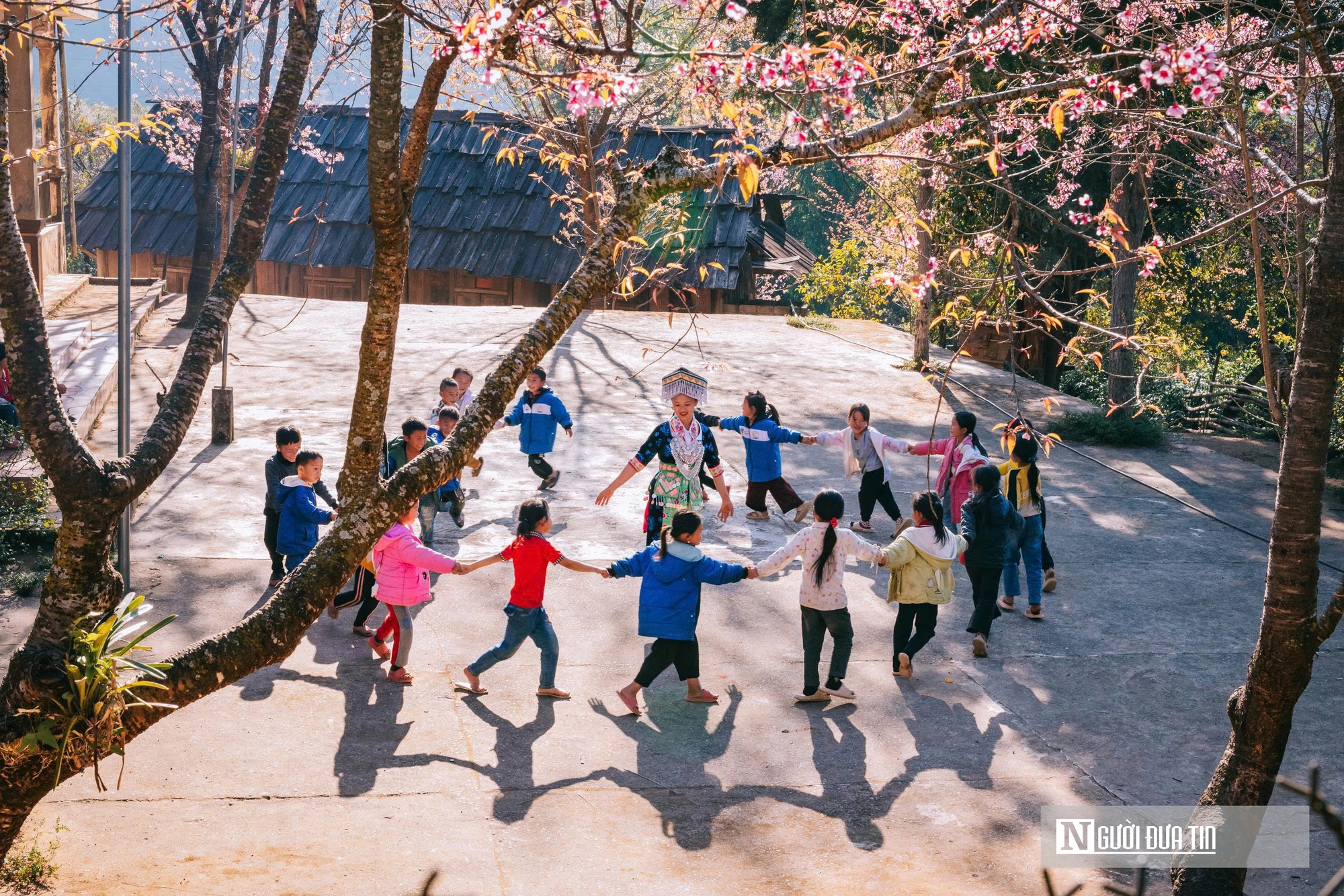 Ngắm hoa anh đào bung nở nơi miền biên viễn Nghệ An - Ảnh 2.