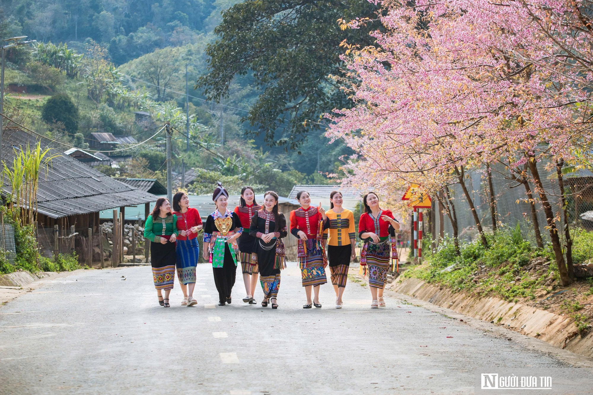 Ngắm hoa anh đào bung nở nơi miền biên viễn Nghệ An - Ảnh 15.