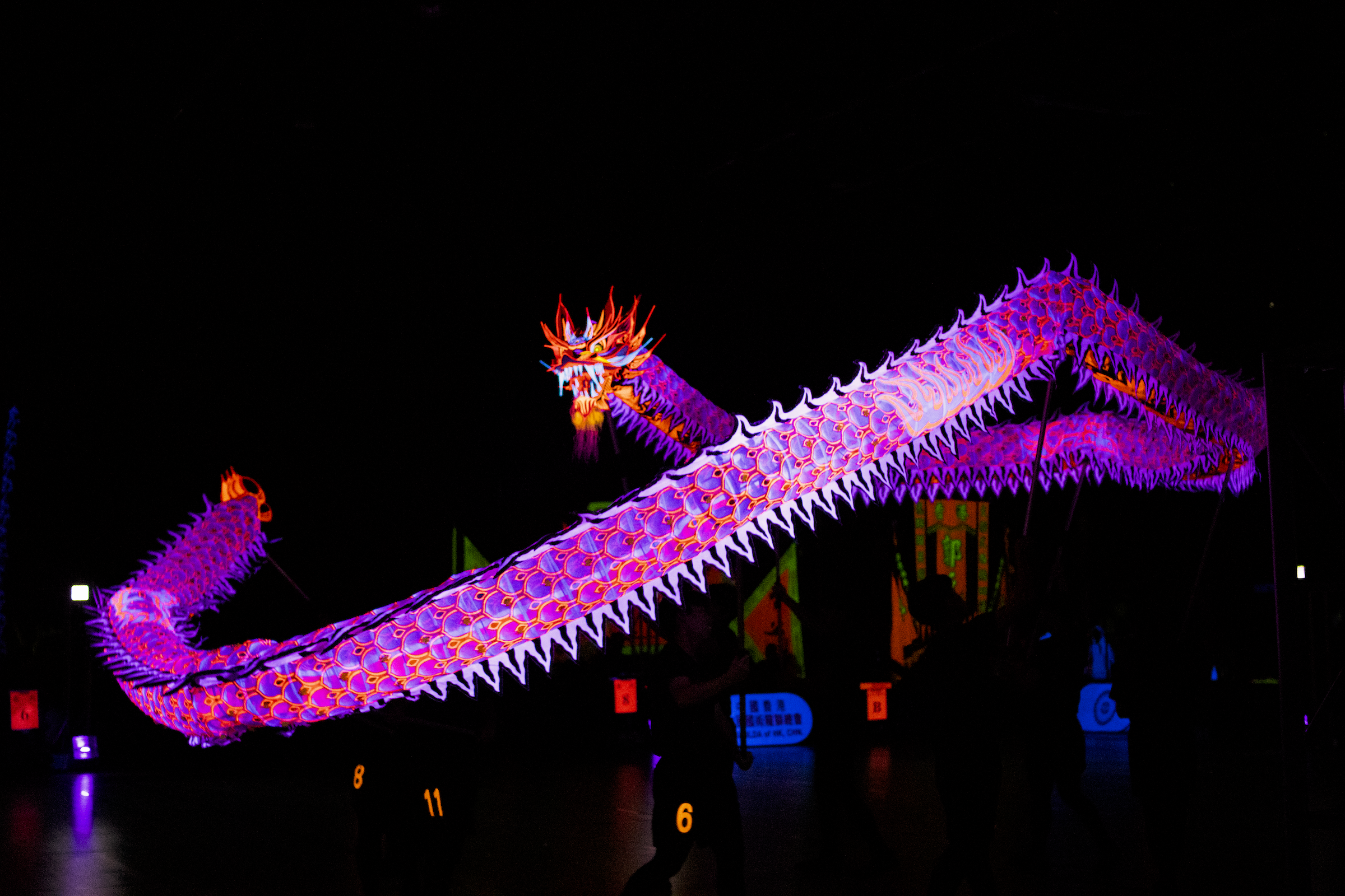 Hồng Kông (Trung Quốc) đón Tết Bính Ngọ với chuỗi lễ hội sôi động khắp thành phố - Ảnh 3.