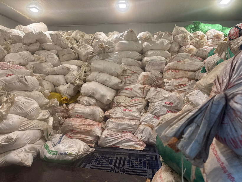 Phát hiện 60 tấn lòng lợn không rõ nguồn gốc, bốc mùi, đổi màu ở Hà Nội - Ảnh 2.