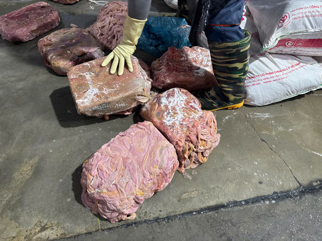 Phát hiện 60 tấn lòng lợn không rõ nguồn gốc, bốc mùi, đổi màu ở Hà Nội - Ảnh 3.