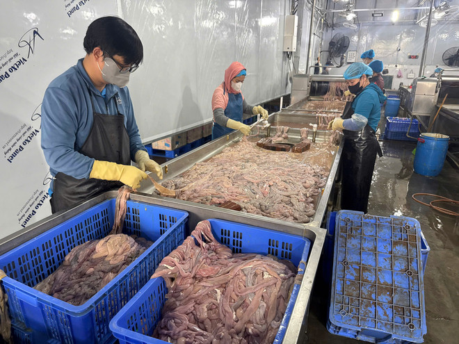 Phát hiện 60 tấn lòng lợn không rõ nguồn gốc, bốc mùi, đổi màu ở Hà Nội - Ảnh 4.