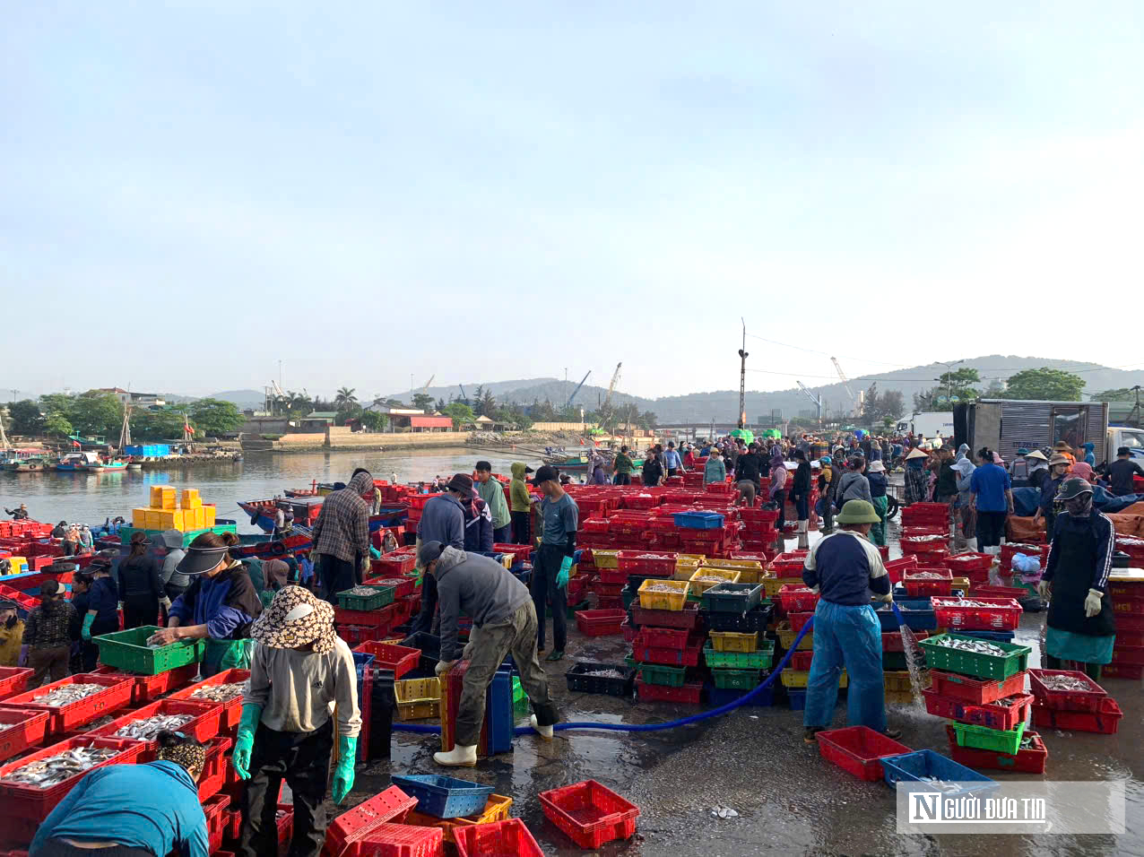 L&agrave;ng nướng c&aacute; nơi cửa biển tất bật ng&agrave;y cận Tết- Ảnh 1.