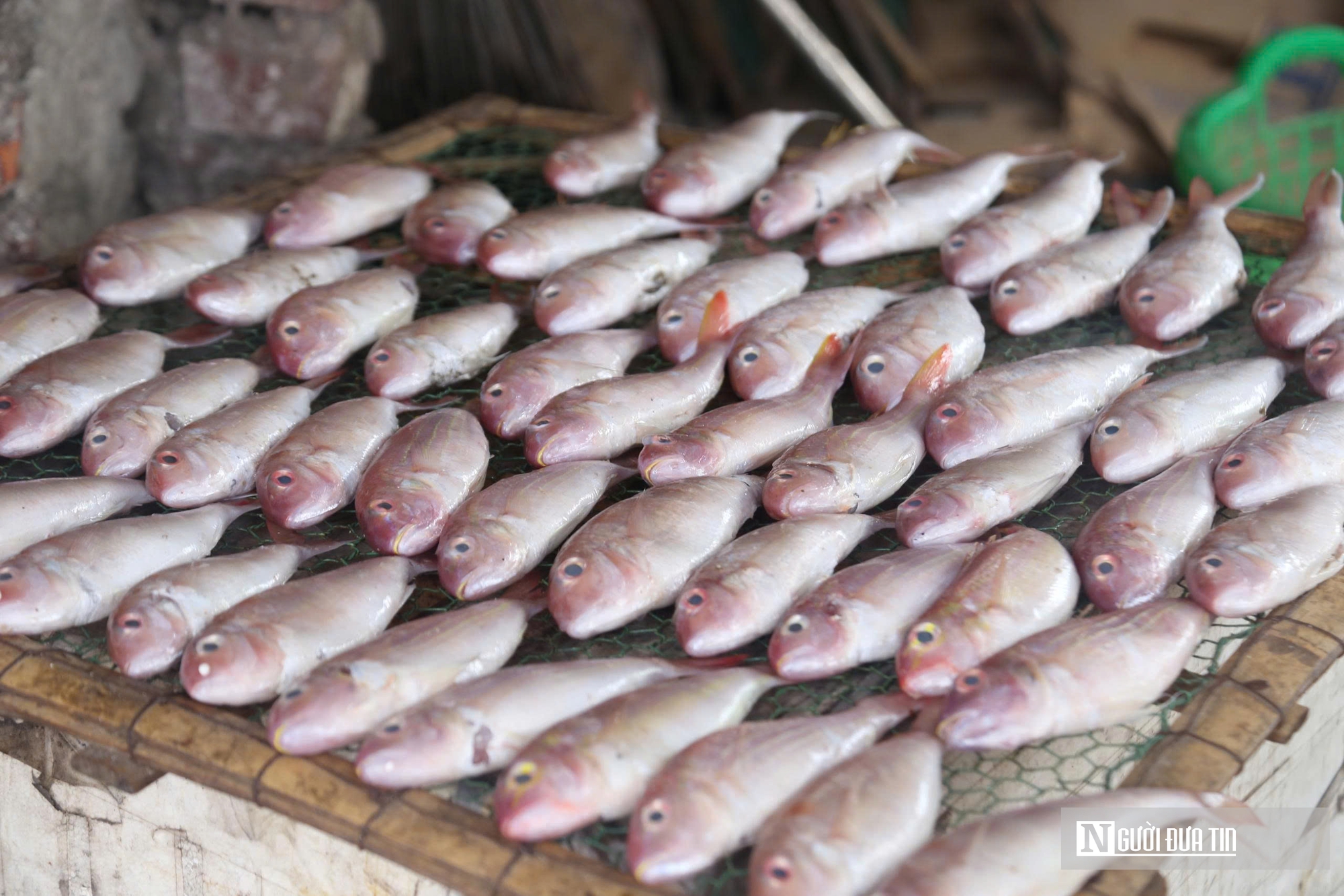 L&agrave;ng nướng c&aacute; nơi cửa biển tất bật ng&agrave;y cận Tết- Ảnh 3.