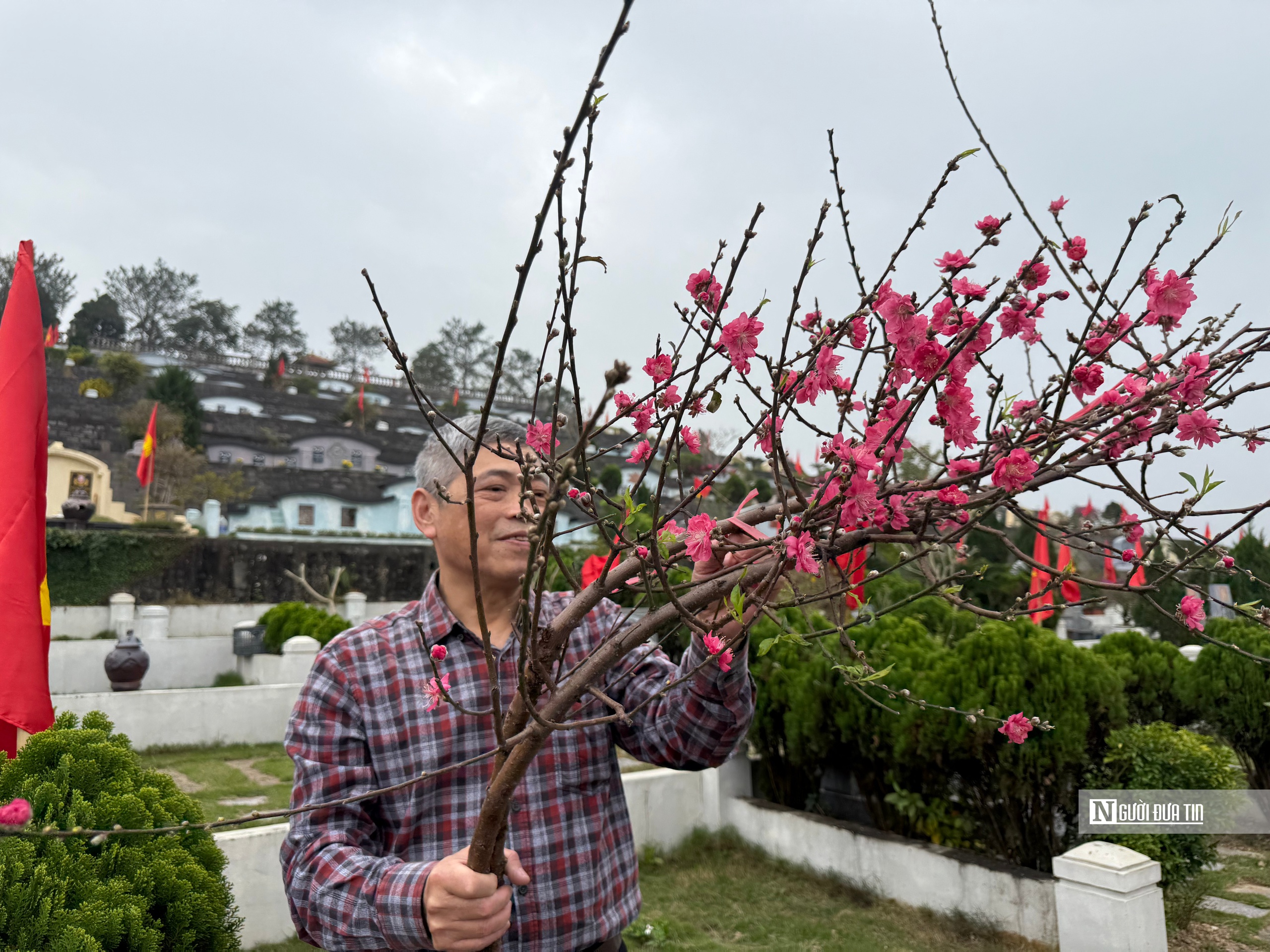 Người Hà Nội mang đào, quất đi tảo mộ dịp cuối năm - Ảnh 4.