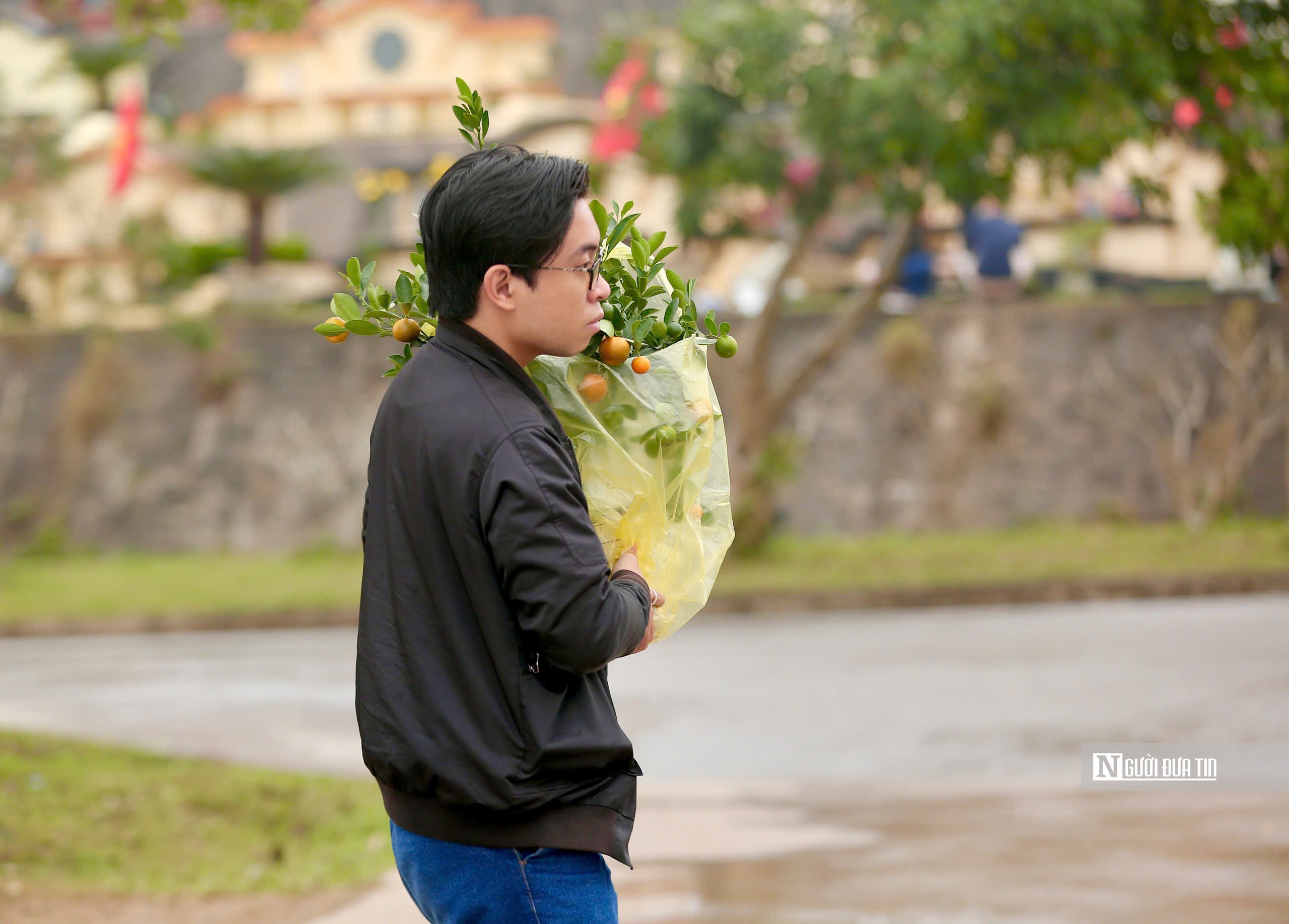 Người Hà Nội mang đào, quất đi tảo mộ dịp cuối năm - Ảnh 3.