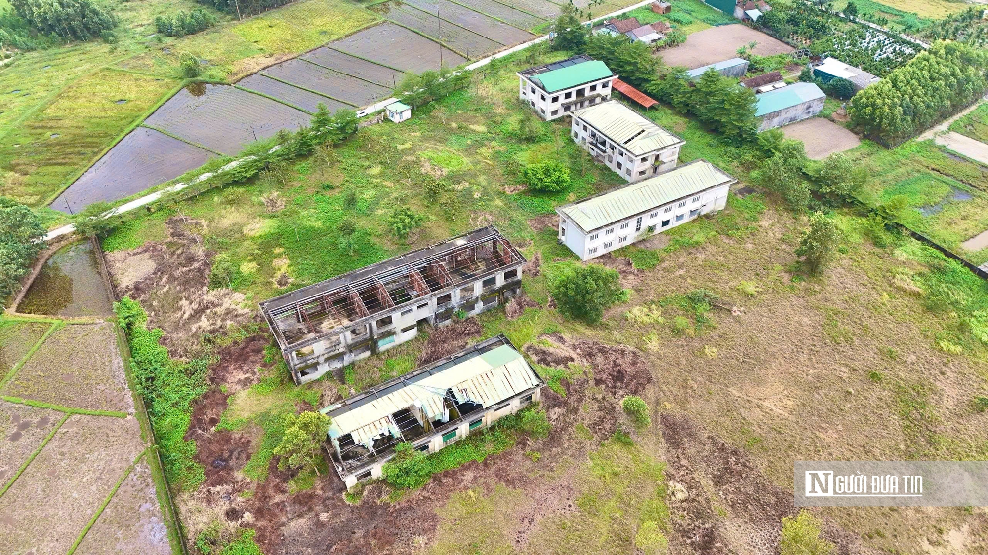 Trung tâm dạy nghề kiểu mẫu ở Quảng Ngãi bỏ hoang 11 năm, thanh tra chỉ ra nhiều sai phạm- Ảnh 1.