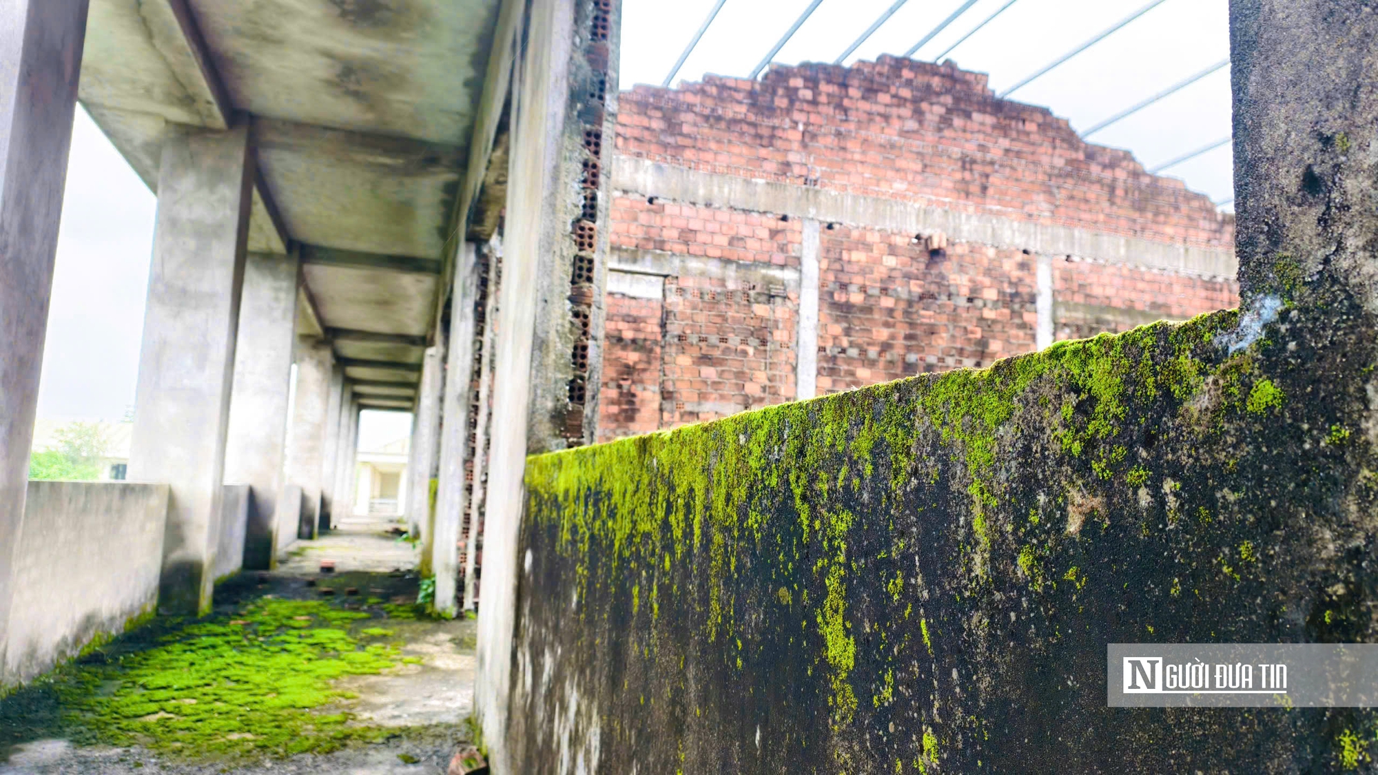 Trung tâm dạy nghề kiểu mẫu ở Quảng Ngãi bỏ hoang 11 năm, thanh tra chỉ ra nhiều sai phạm- Ảnh 18.