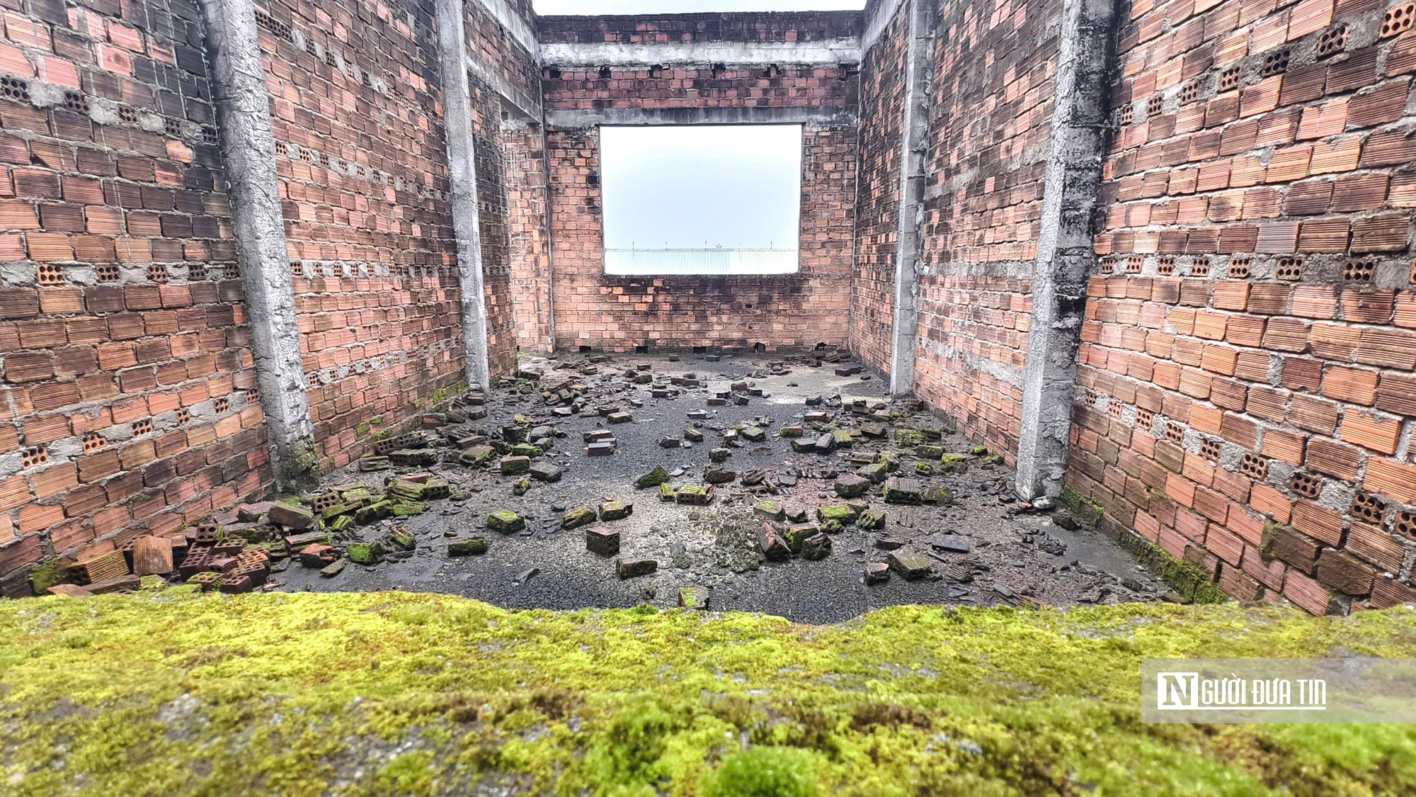 Trung tâm dạy nghề kiểu mẫu ở Quảng Ngãi bỏ hoang 11 năm, thanh tra chỉ ra nhiều sai phạm- Ảnh 5.