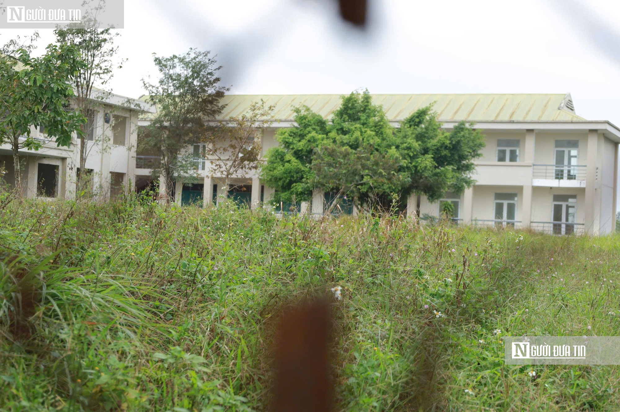 Trung tâm dạy nghề kiểu mẫu ở Quảng Ngãi bỏ hoang 11 năm, thanh tra chỉ ra nhiều sai phạm- Ảnh 9.