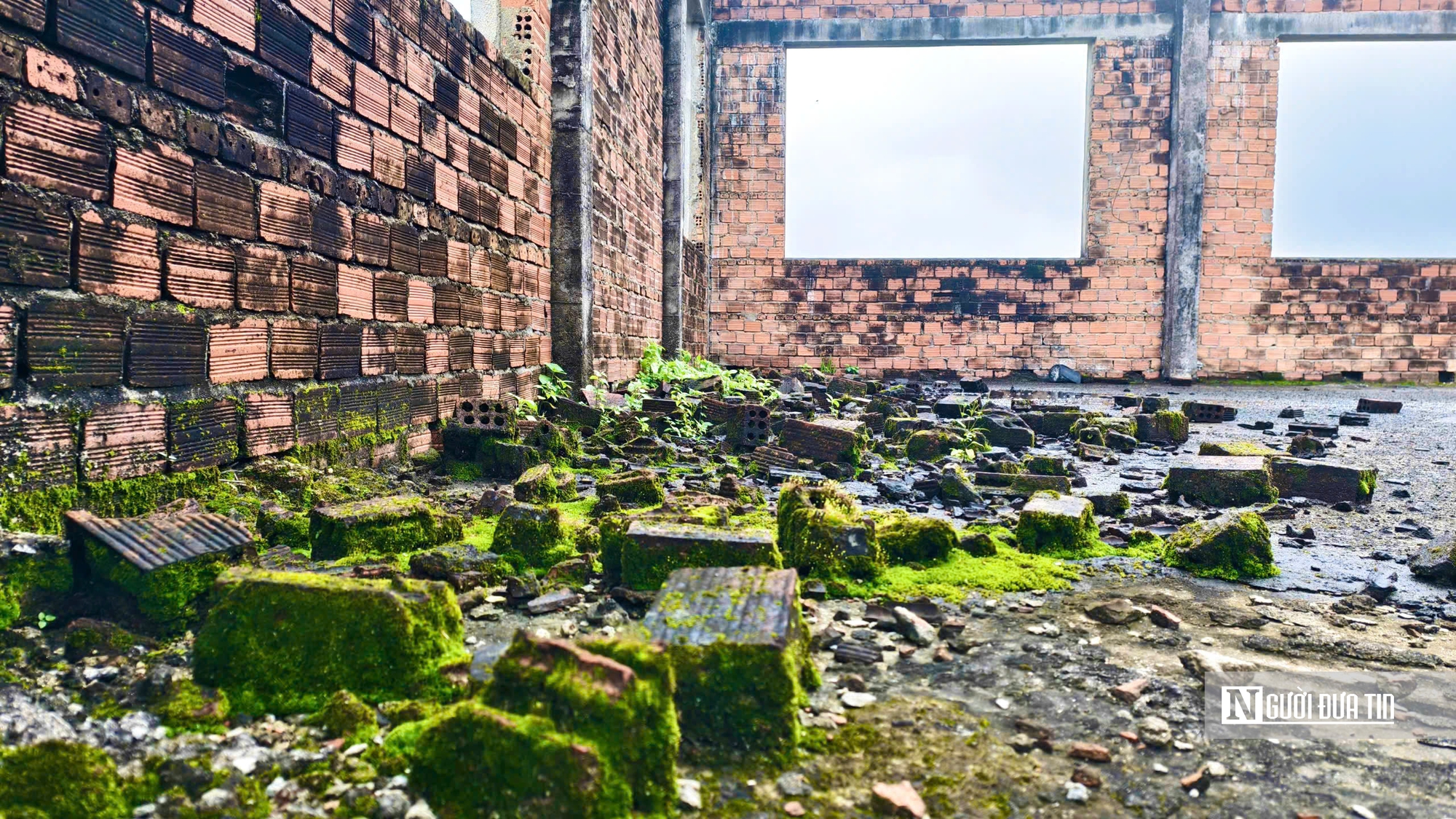 Trung tâm dạy nghề kiểu mẫu ở Quảng Ngãi bỏ hoang 11 năm, thanh tra chỉ ra nhiều sai phạm- Ảnh 13.