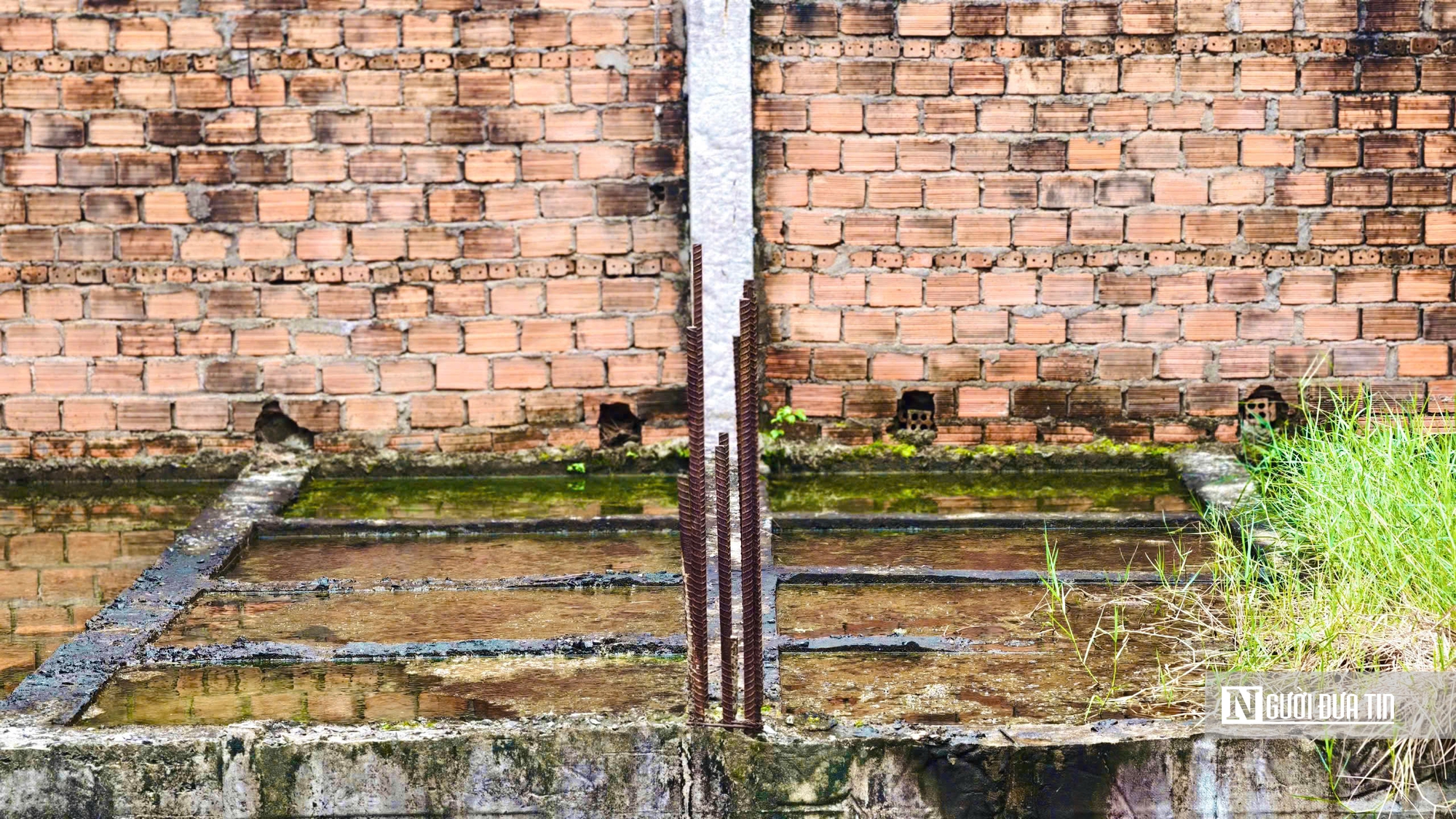 Trung tâm dạy nghề kiểu mẫu ở Quảng Ngãi bỏ hoang 11 năm, thanh tra chỉ ra nhiều sai phạm- Ảnh 15.