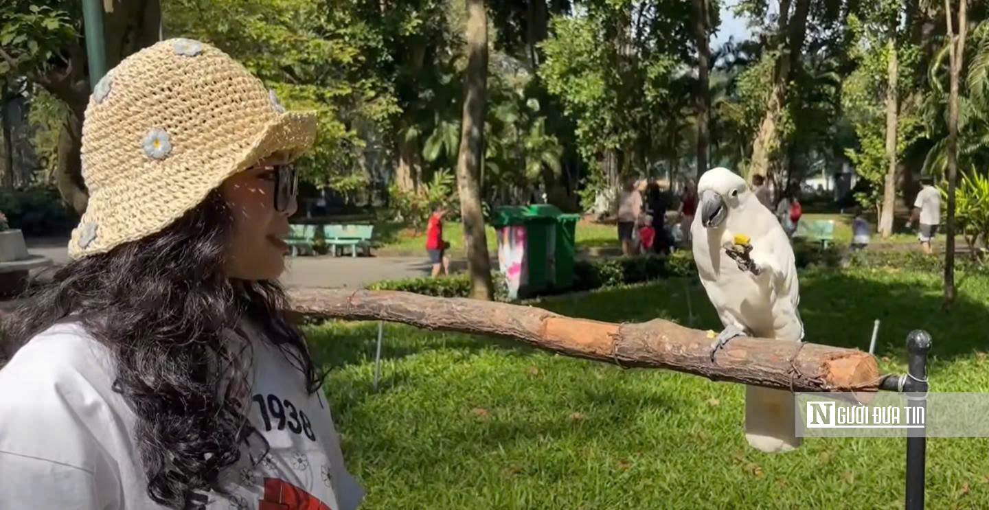 Doanh thu du lịch Tp.HCM tăng trưởng ấn tượng đầu năm 2026- Ảnh 4.