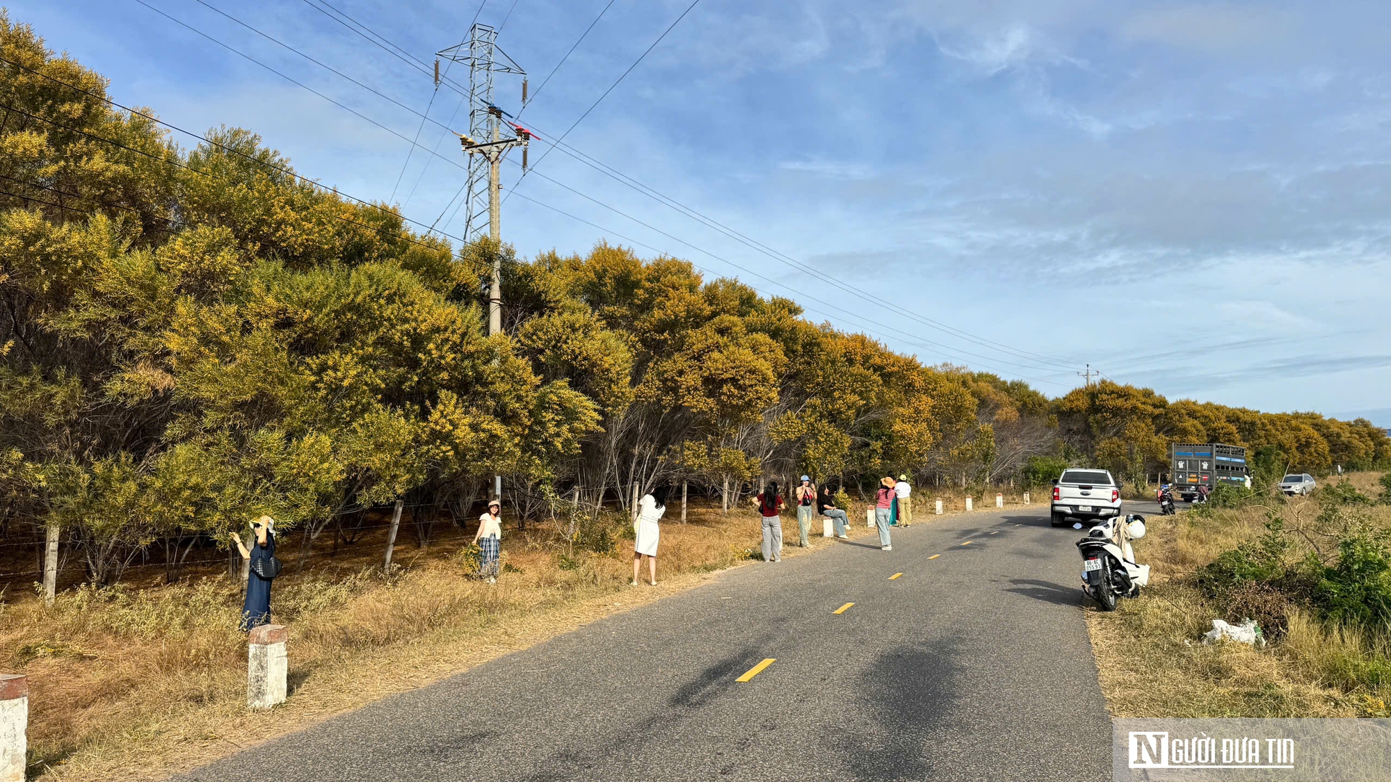 Lâm Đồng "bội thu" khách du lịch dịp Tết Dương lịch 2026- Ảnh 6.