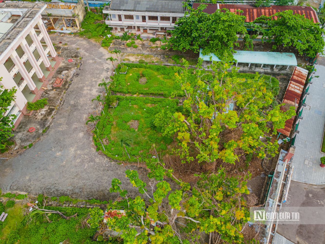 Cận cảnh khu đất sắp xây chung cư thương mại 12.800 tỷ đồng, cao nhất Gia Lai- Ảnh 11. Cận cảnh khu đất sắp xây chung cư thương mại 12.800 tỷ đồng, cao nhất Gia Lai- Ảnh 11.