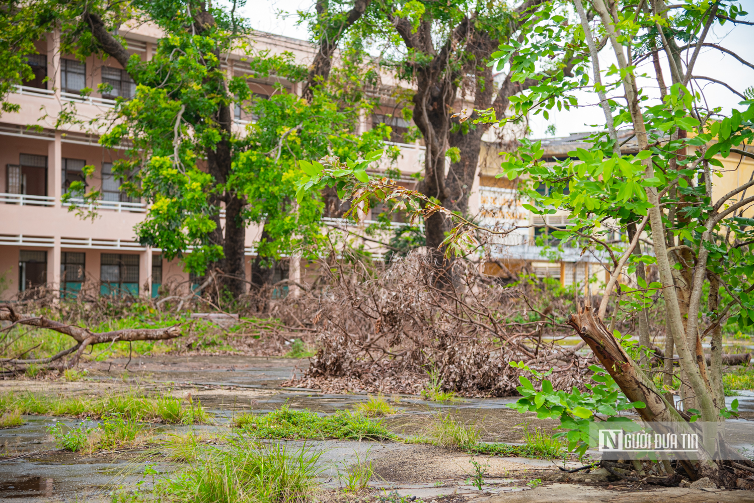 Cận cảnh khu đất sắp xây chung cư thương mại 12.800 tỷ đồng, cao nhất Gia Lai- Ảnh 14. Cận cảnh khu đất sắp xây chung cư thương mại 12.800 tỷ đồng, cao nhất Gia Lai- Ảnh 14.