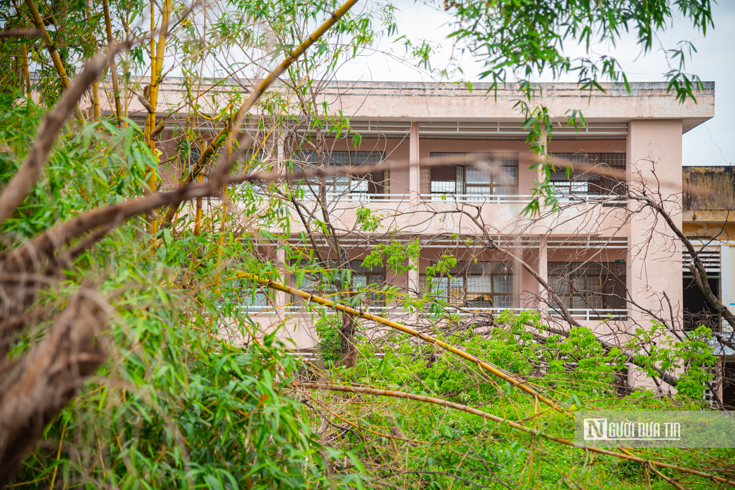 Cận cảnh khu đất sắp xây chung cư thương mại 12.800 tỷ đồng, cao nhất Gia Lai- Ảnh 13. Cận cảnh khu đất sắp xây chung cư thương mại 12.800 tỷ đồng, cao nhất Gia Lai- Ảnh 13.