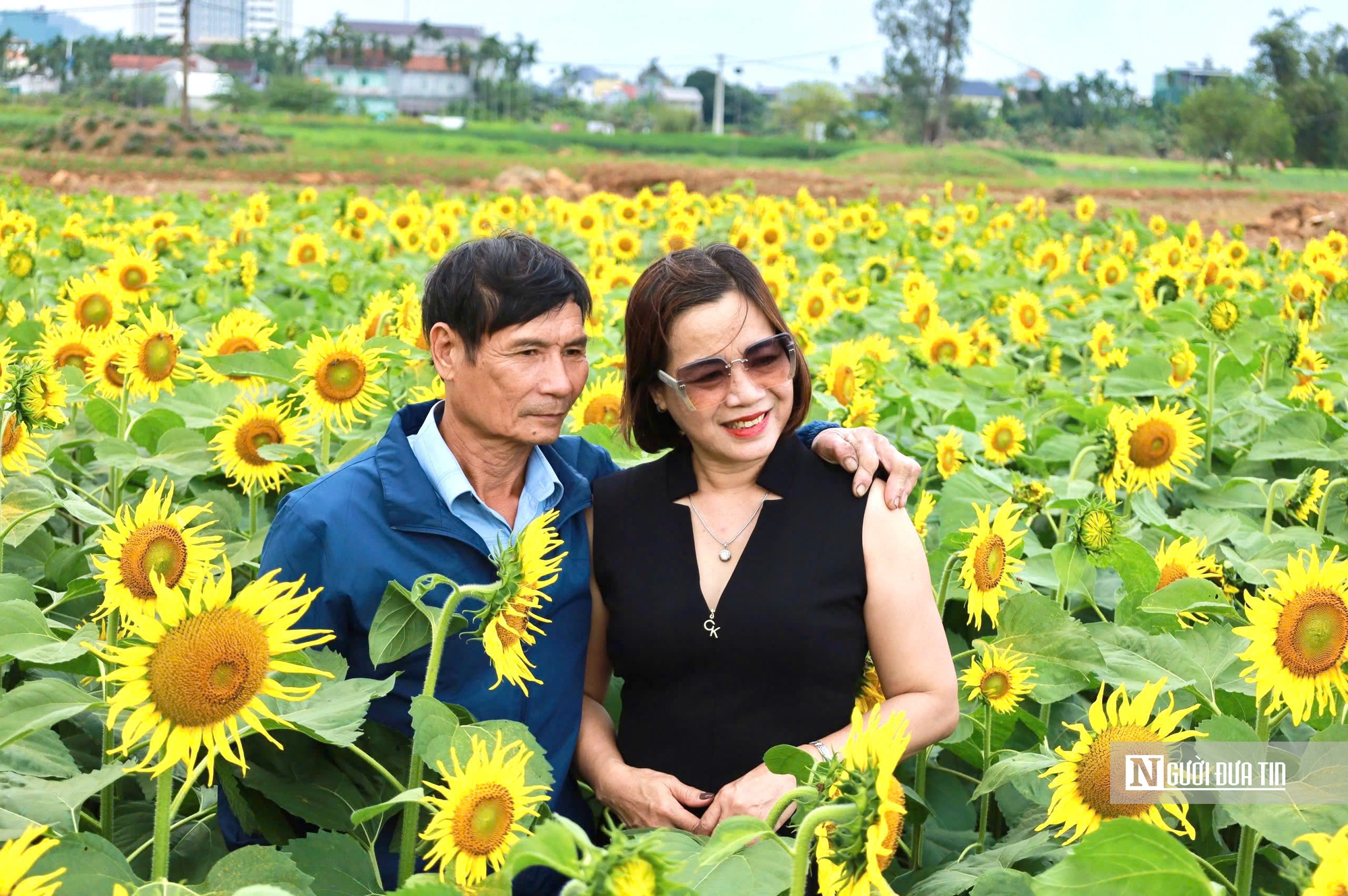 Đổ xô check-in hoa hướng dương “khổng lồ” ở Quảng Ngãi ngày cận Tết- Ảnh 12. Đổ xô check-in hoa hướng dương “khổng lồ” ở Quảng Ngãi ngày cận Tết- Ảnh 12.
