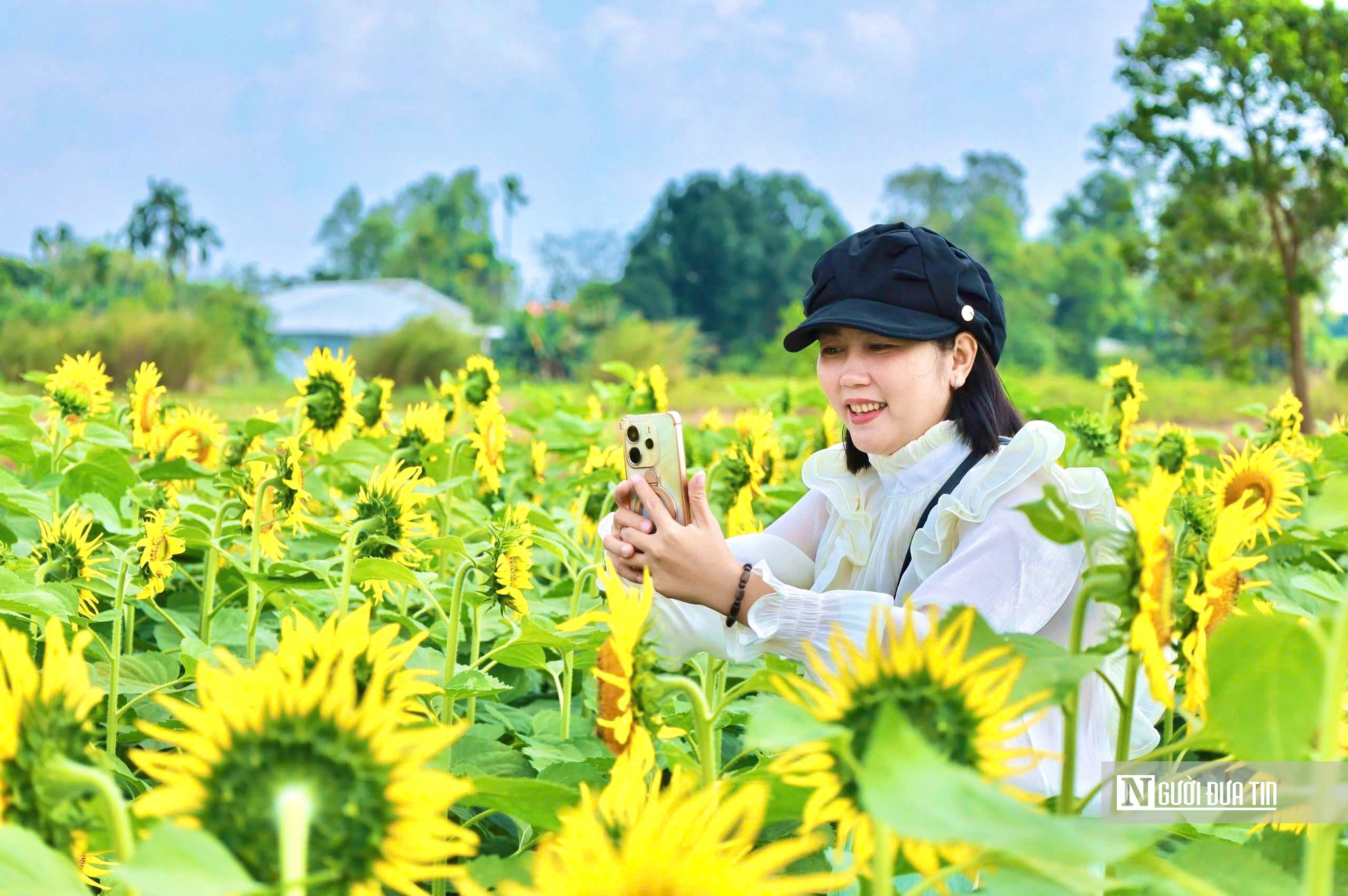 Đổ xô check-in hoa hướng dương “khổng lồ” ở Quảng Ngãi ngày cận Tết- Ảnh 6. Đổ xô check-in hoa hướng dương “khổng lồ” ở Quảng Ngãi ngày cận Tết- Ảnh 6.