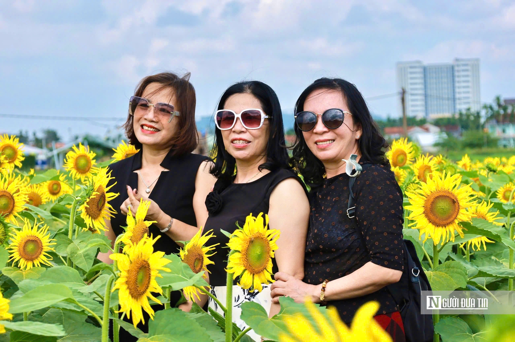 Đổ xô check-in hoa hướng dương “khổng lồ” ở Quảng Ngãi ngày cận Tết- Ảnh 8. Đổ xô check-in hoa hướng dương “khổng lồ” ở Quảng Ngãi ngày cận Tết- Ảnh 8.