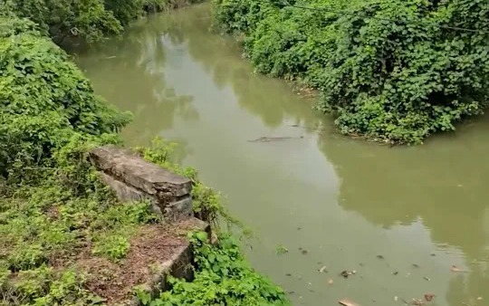 B&eacute; 7 th&aacute;ng tuổi kh&ograve; kh&egrave; k&eacute;o d&agrave;i, b&aacute;c sĩ ph&aacute;t hiện b&iacute; mật "đ&aacute;ng sợ" - Ảnh 2.