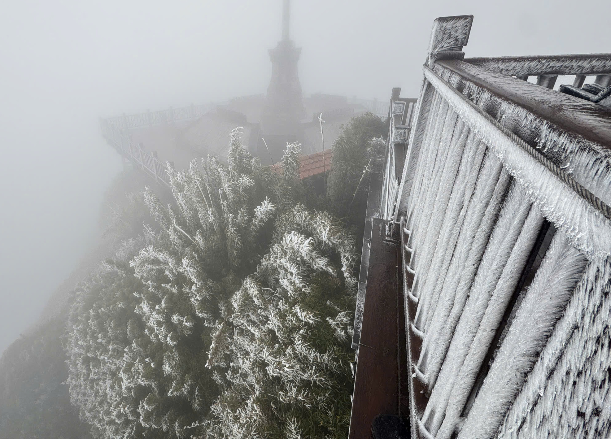 Khoảnh khắc hiếm thấy: “Hoa băng” phủ trắng Fansipan và đỉnh Phia Oắc khi nhiệt độ chạm -3 độ C - Ảnh 1.