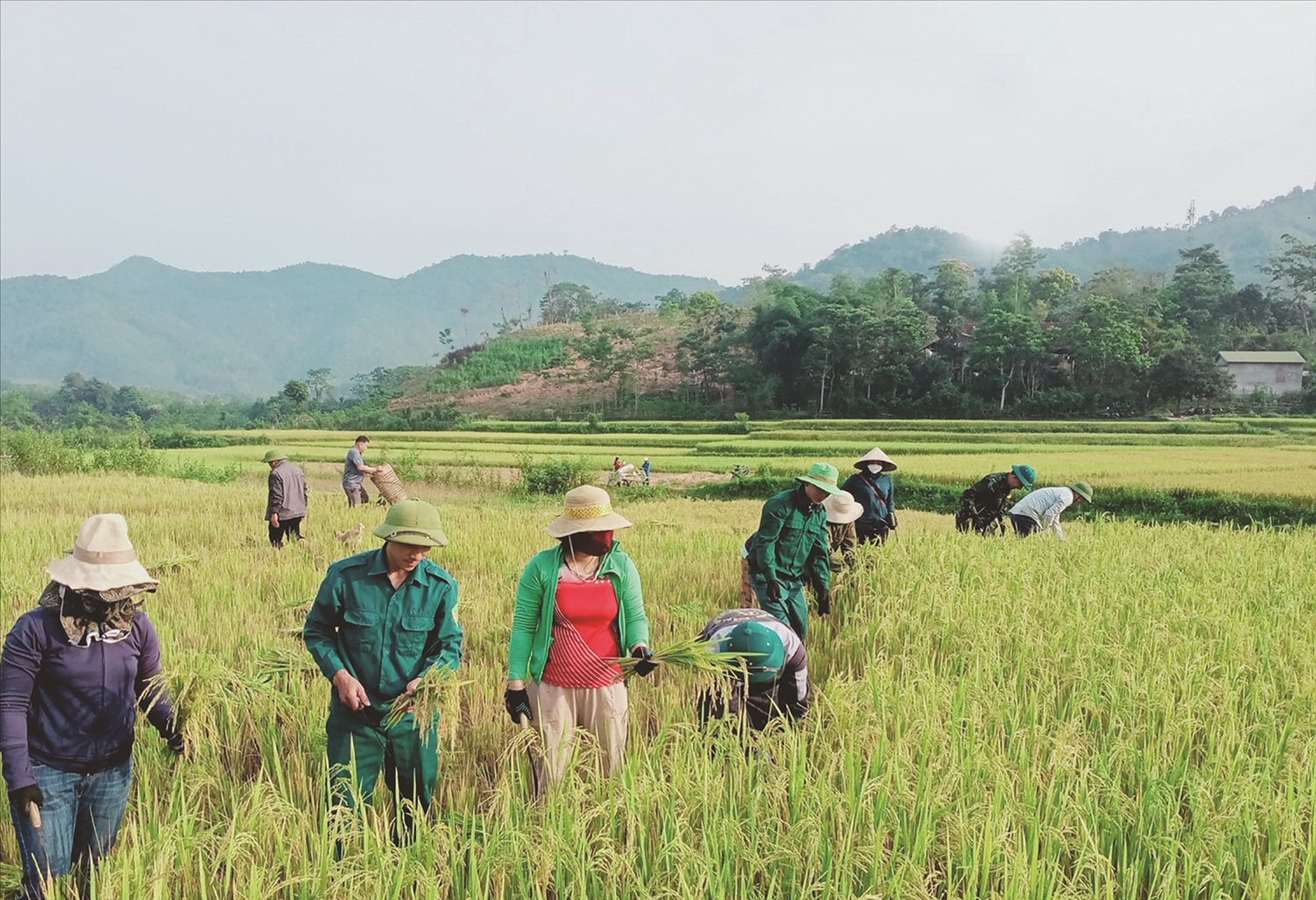 Nâng cao quyền năng kinh tế cho phụ nữ, hiện thực hoá bình đẳng giới - Ảnh 2.